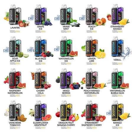 پاد یکبارمصرف وزول ویستا پلاگ | ۱۵۰۰۰ پاف DISPOSABLE POD, 15000 PUFFS VOZOL VISTA PLUG